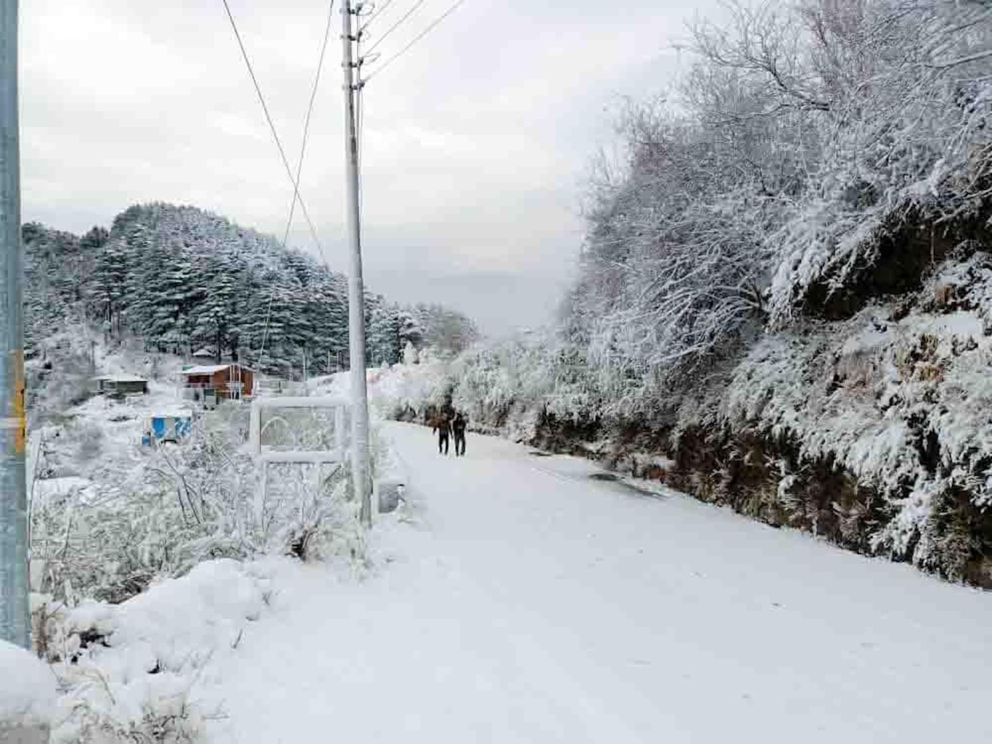 La Riqueza Kanatal #Mountain View Rooms # Near To Kodia Forest Jungle Saafari # 05 Mins From Adventure Activities Extérieur photo