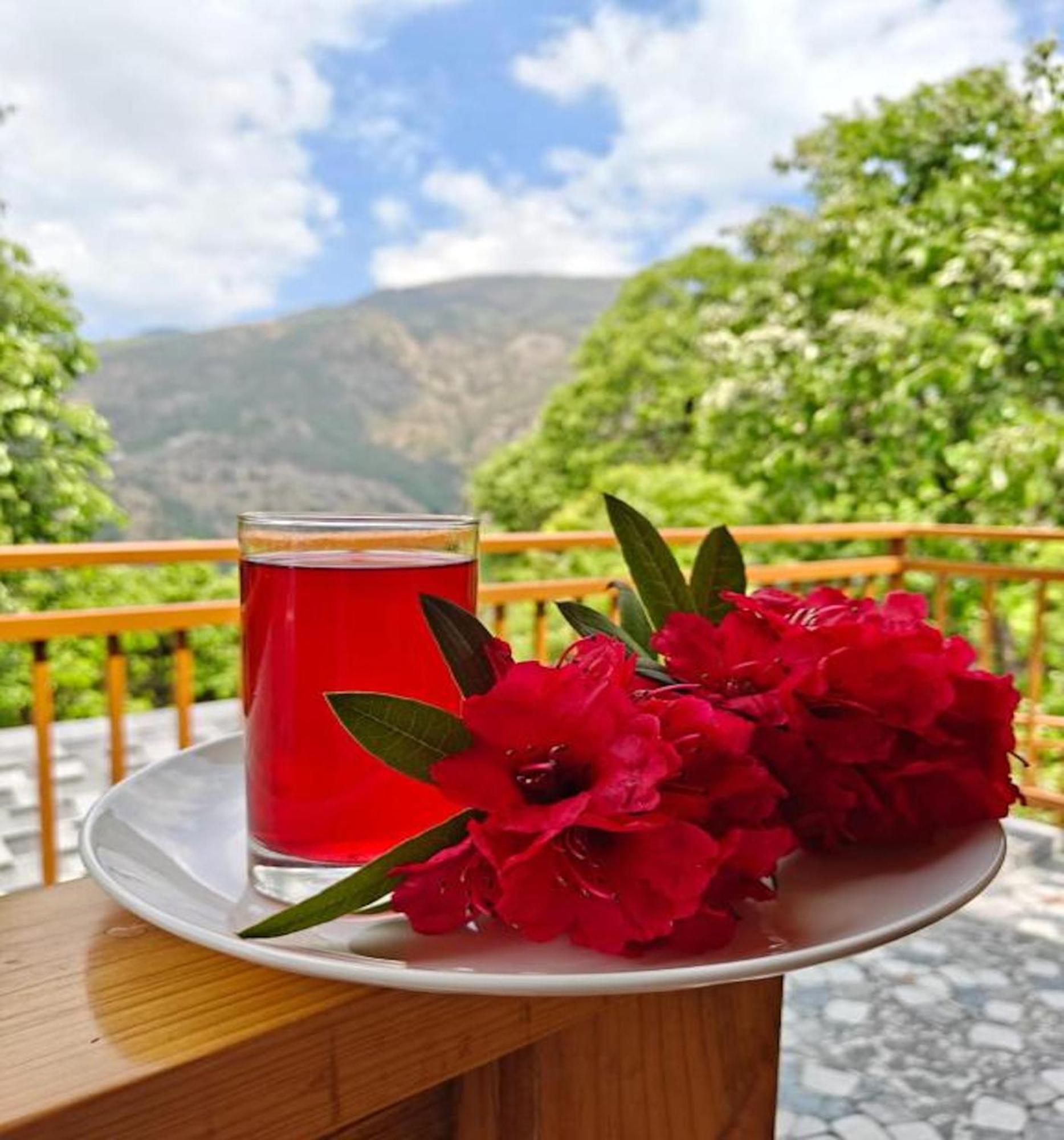 La Riqueza Kanatal #Mountain View Rooms # Near To Kodia Forest Jungle Saafari # 05 Mins From Adventure Activities Extérieur photo